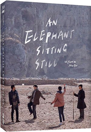 Splitscreen-review Image de An elephant sitting still de Hu Bo