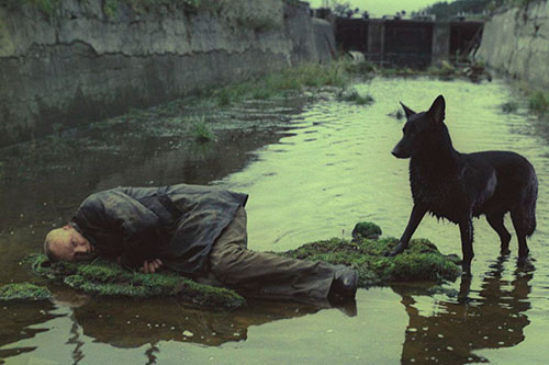 Splitscreen-review Image de la rétrospective Andreï Tarkovski