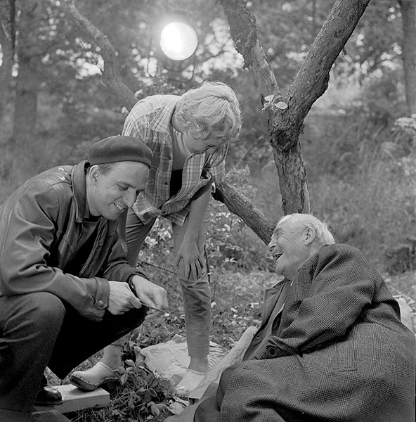Splitscreen-review Image de Bergman mode d'emploi chez Carlotta Films