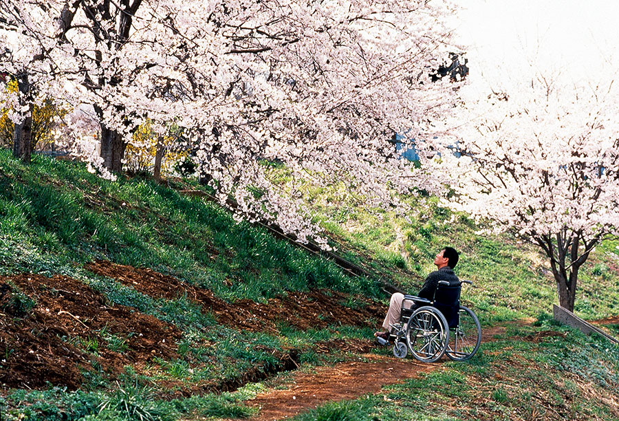 Splitscreen-review Image de Hana-bi de Takeshi Kitano
