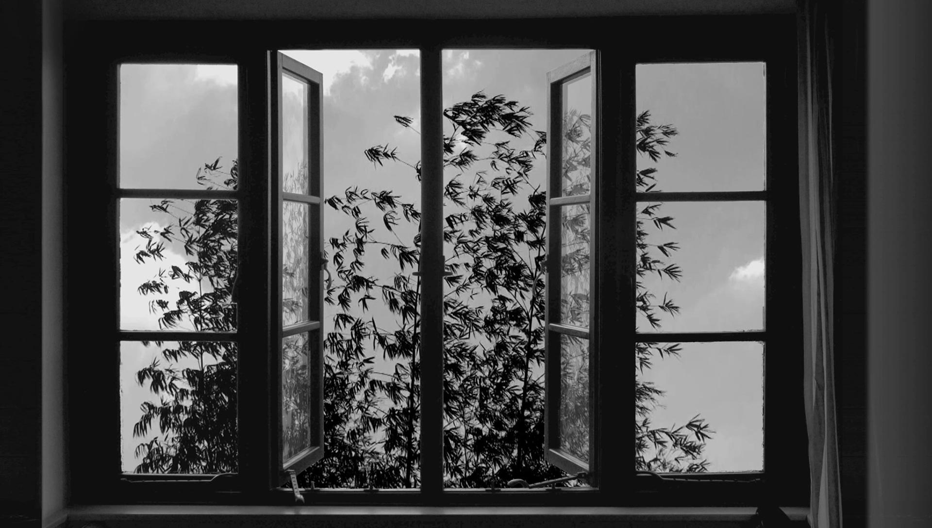 Splitscreen-review Image de 24 Frames d'Abbas Kiarostami