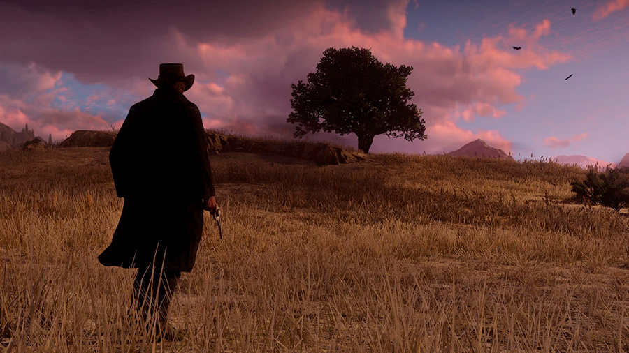 Splitscreen-review Image de Red Dead Redemption