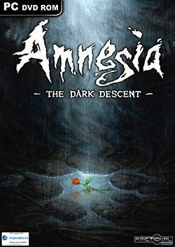 Splitscreen-review Image de Amnesia