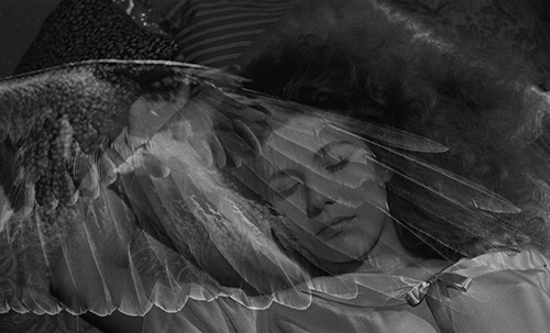 Splitscreen-review Image de Les ailes du désir de Wim Wenders