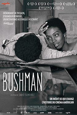 Splitscreen-review Image de Bushman de David Schickele