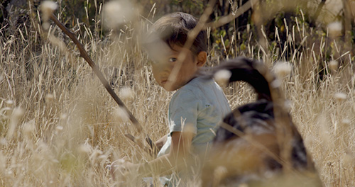 Splitscreen-review Image de Hijo de sicario d'Astrid Rondero et Fernanda Valadez