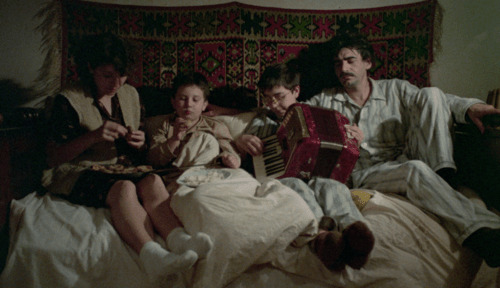 Splitscreen-review Image de Papa est en voyage d'affaires d'Emir Kusturica