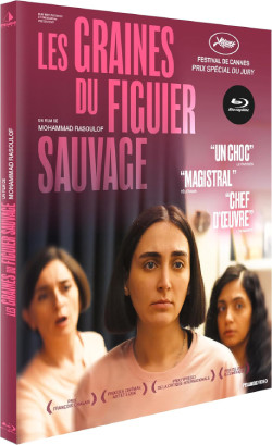 Splitscreen-review Image de Les graines du figuier sauvage de Mohammad Rasoulof