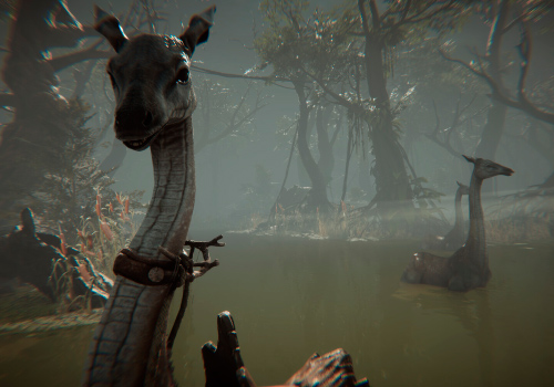 Splitscreen-review Image de L'amerzone