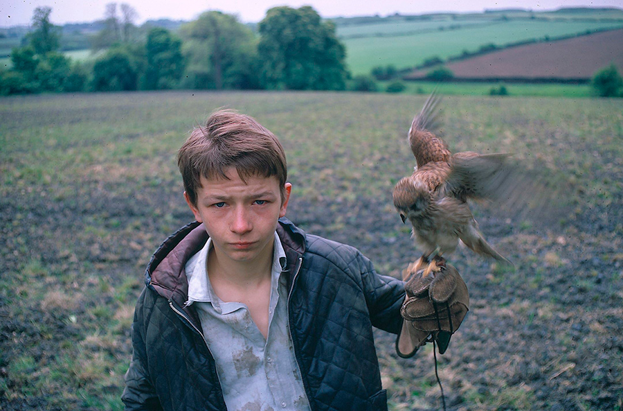 Splitscreen-review Image de Kes de Ken Loach