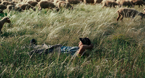 Splitscreen-review Image de Bergers de Sophie Desrape