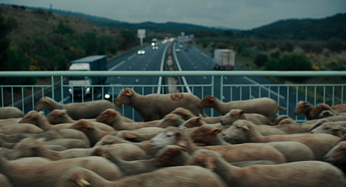 Splitscreen-review Image de Bergers de Sophie Desrape