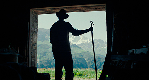 Splitscreen-review Image de Bergers de Sophie Desrape