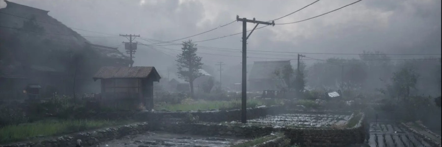 Splitscreen-review Image de Silent Hill f