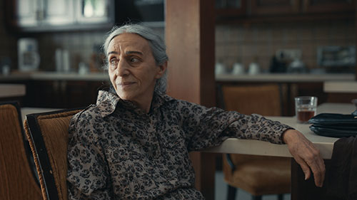 Splitscreen-review Image de La femme qui en savait trop de Nader Saeivar