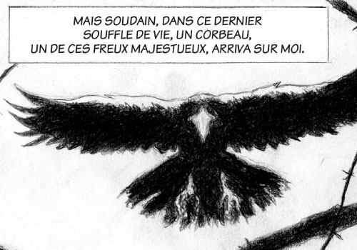 Splitscreen-review Image de Freux de Tony Zwald