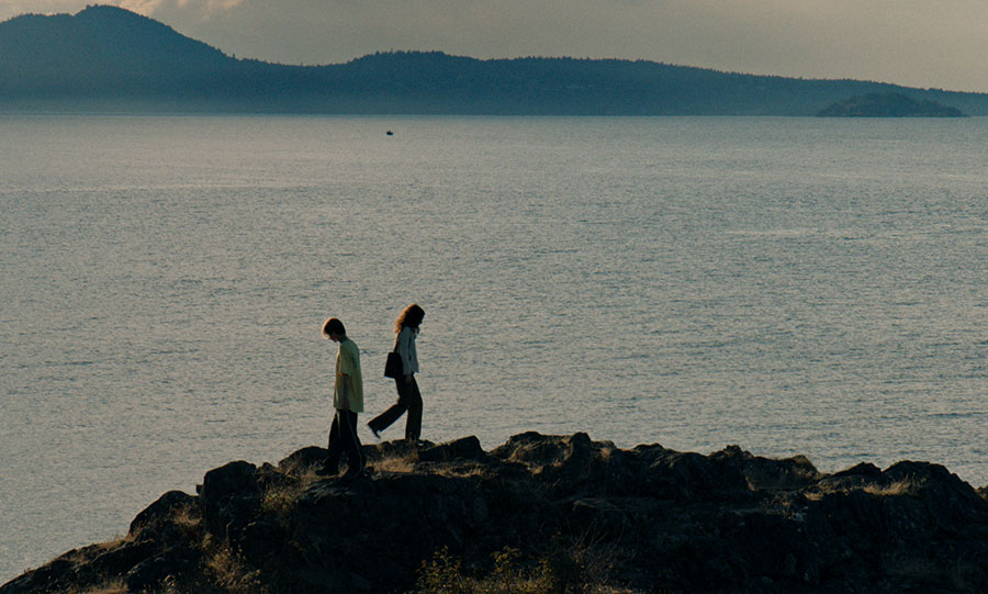 Splitscreen-review Image de Blue Heron de Sophy Romvari