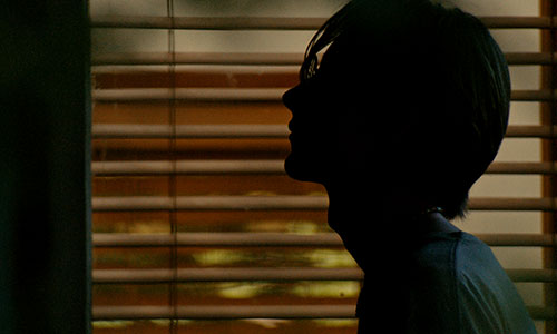 Splitscreen-review Image de Blue Heron de Sophy Romvari