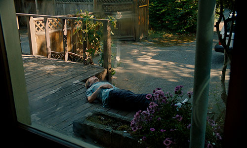 Splitscreen-review Image de Blue Heron de Sophy Romvari